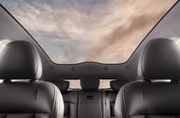 ELEVATED COMFORT