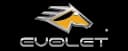 Evolet Bikes in Delhi